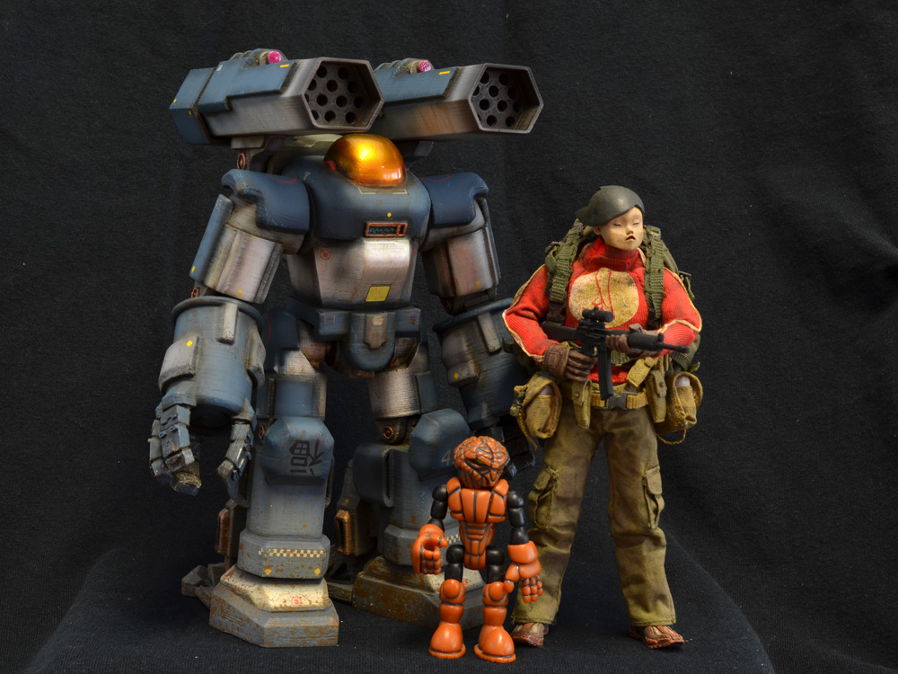 Striking-Tortoise-01-08