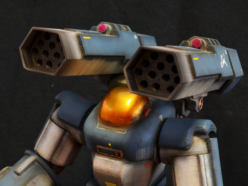 Striking-Tortoise-01-09