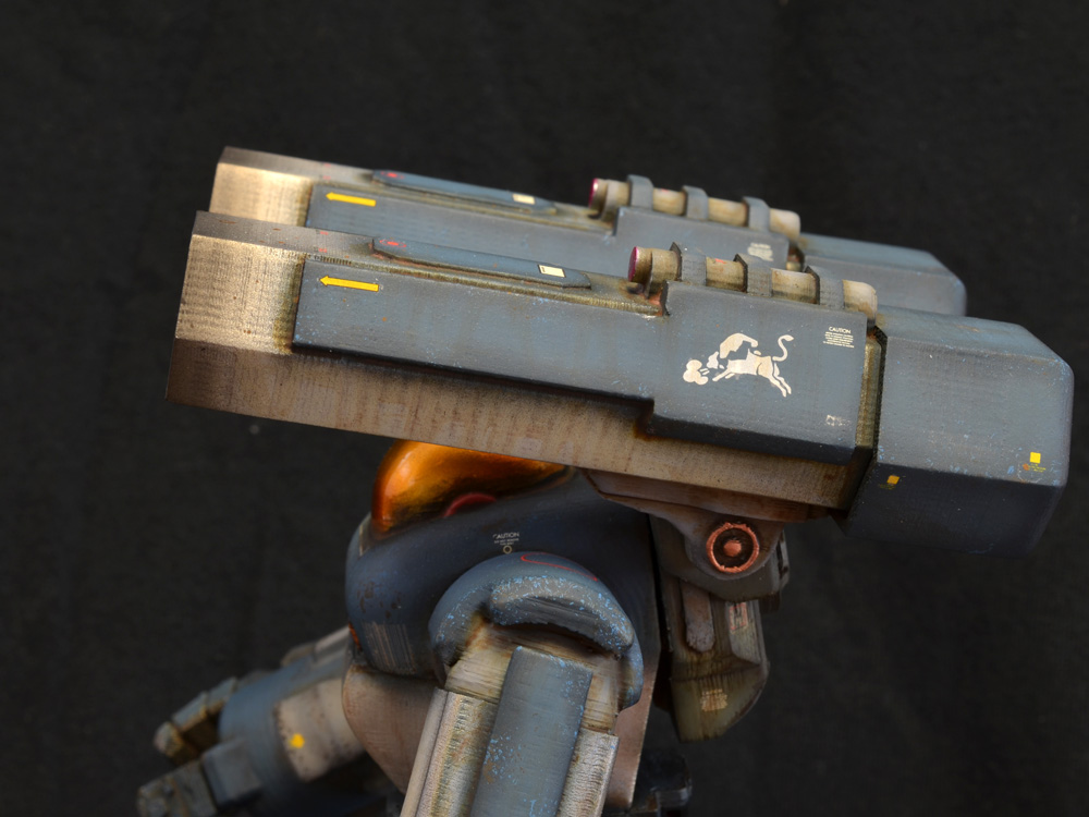 Striking-Tortoise-01-10