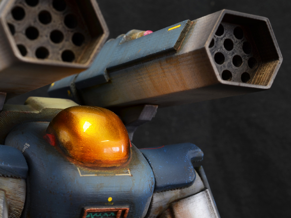 Striking-Tortoise-01-12