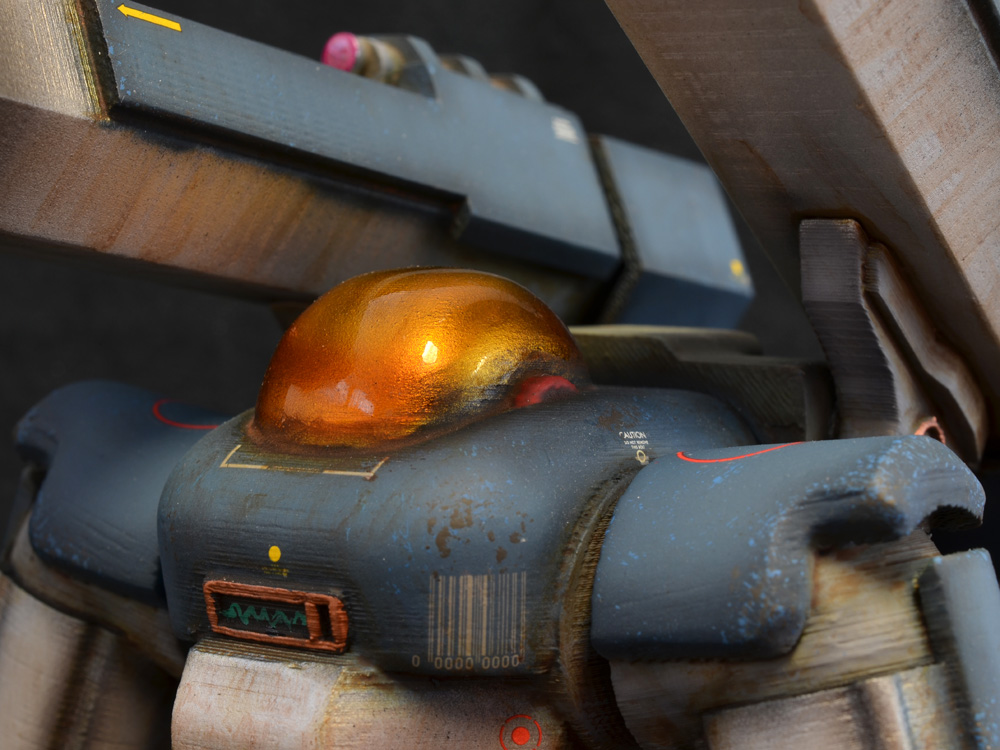 Striking-Tortoise-01-13