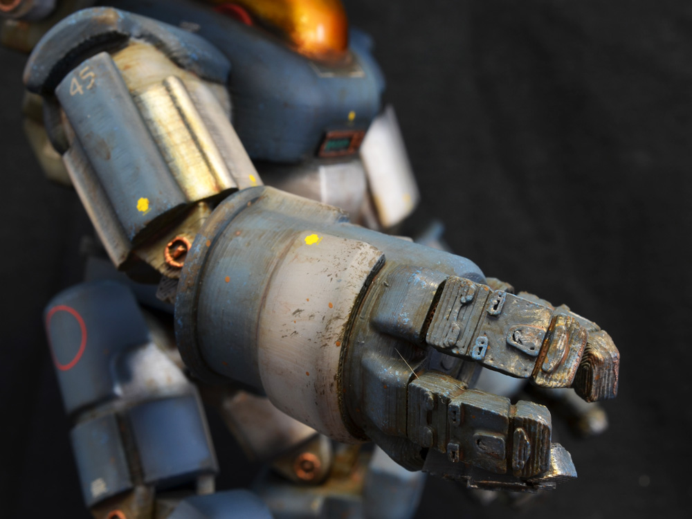 Striking-Tortoise-01-14