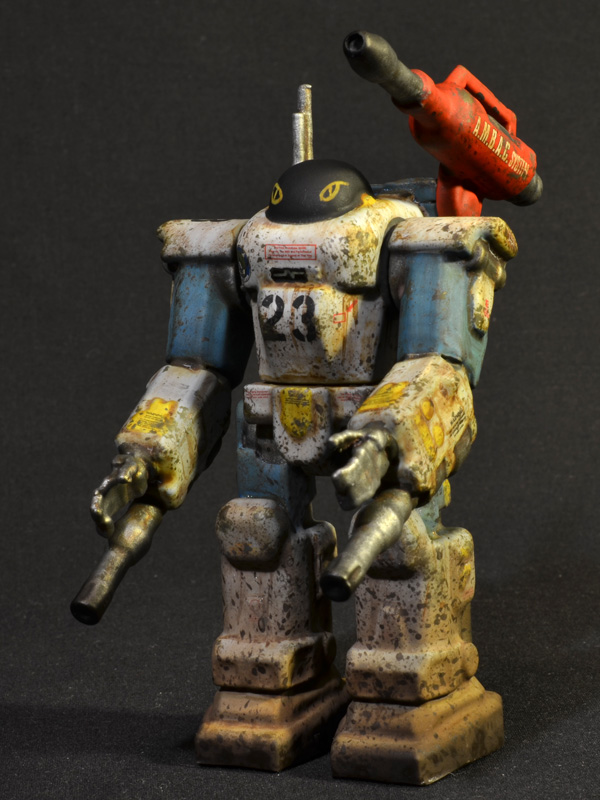 nimble-tortoise-prhi-01