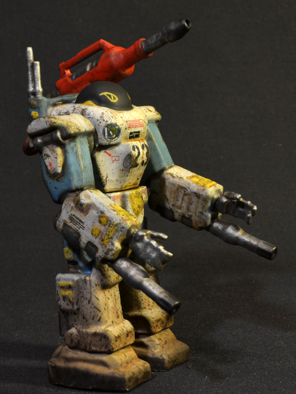 nimble-tortoise-prhi-02