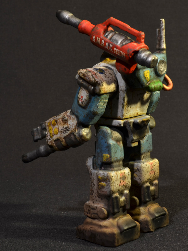 nimble-tortoise-prhi-04