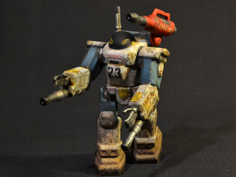 nimble-tortoise-prhi-05