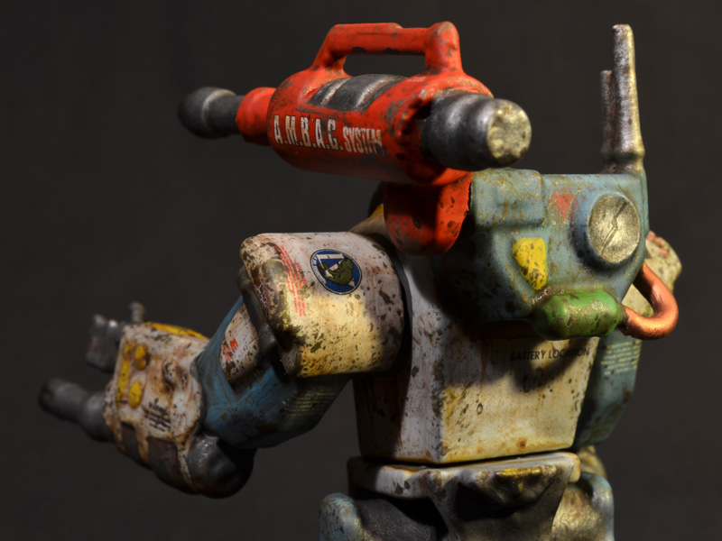 nimble-tortoise-prhi-07