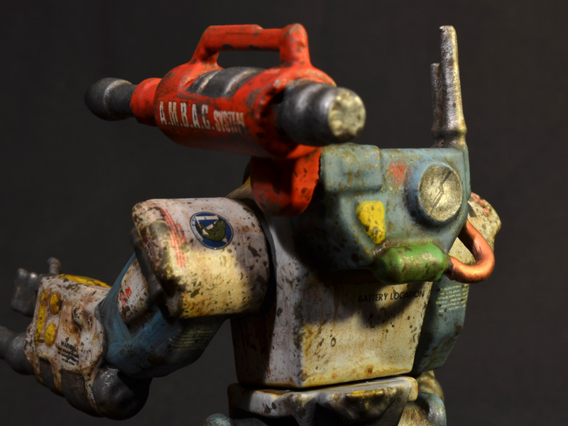 nimble-tortoise-prhi-11