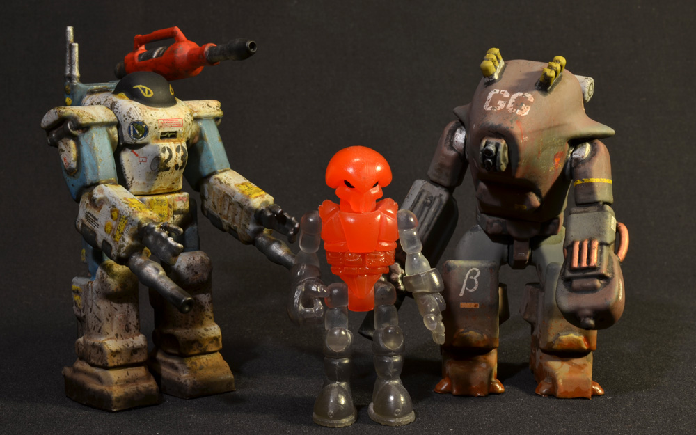 nimble-tortoise-prhi-13