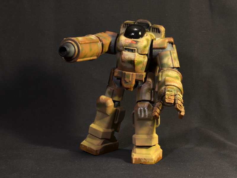 FF-sierra-bouncetortoise-04