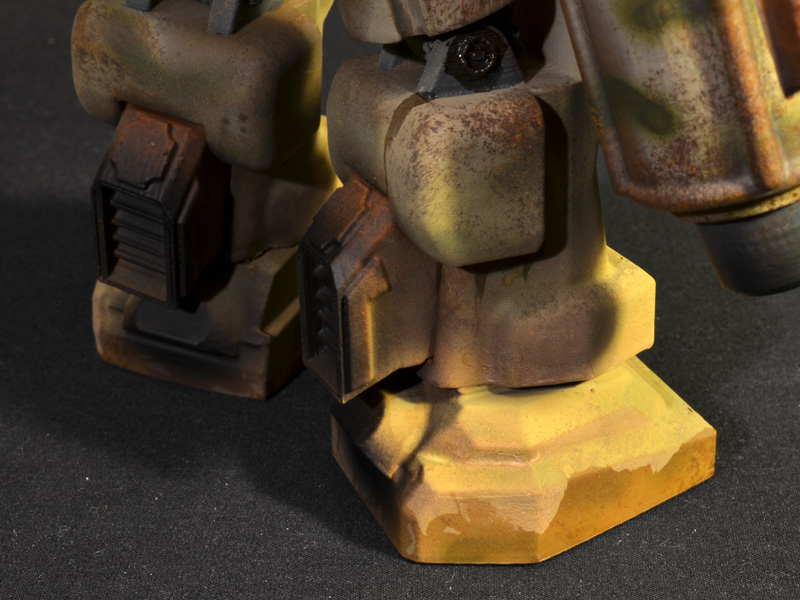 FF-sierra-bouncetortoise-07