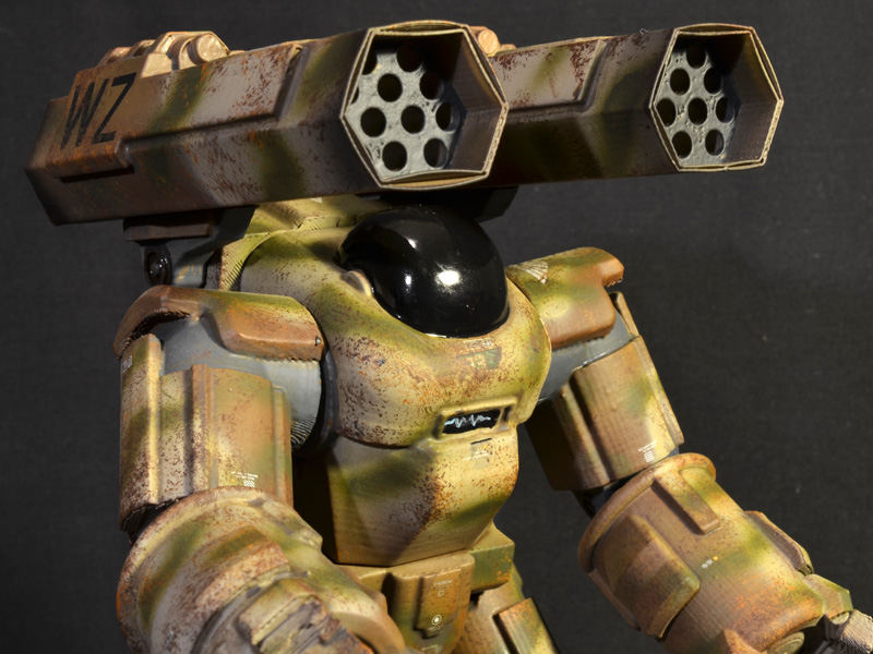 ff-sierra-striketortoise-04